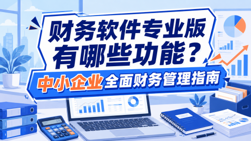 财务软件专业版有哪些功能？中小企业全面财务管理指南