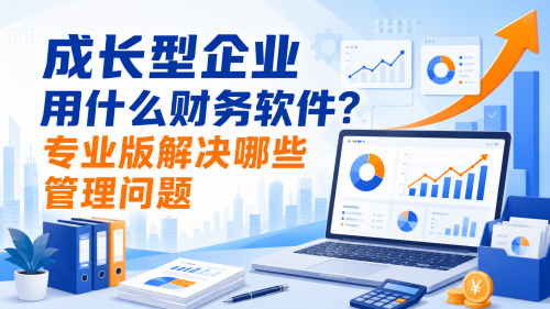 成长型企业用什么财务软件？专业版解决哪些管理问题.png