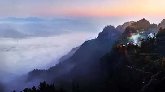 征收率降了，算法变了，税多了