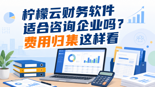 柠檬云财务软件适合咨询企业吗?费用归集这样看.png